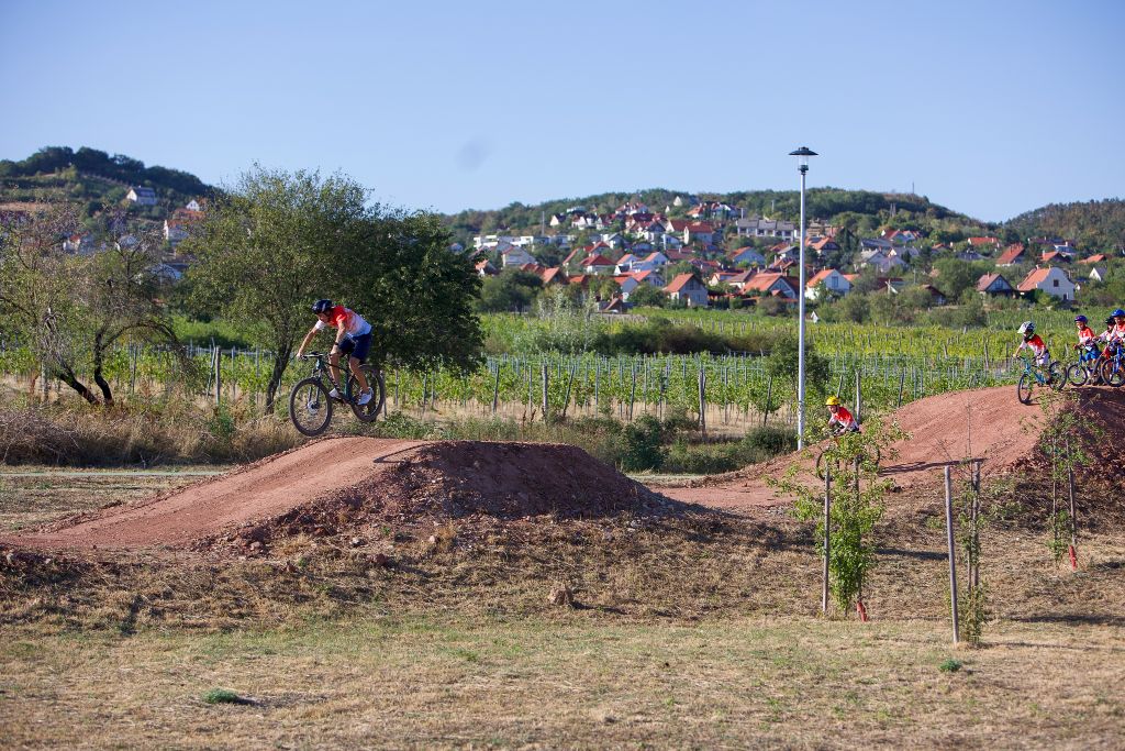 Flow trail - ugratás a szőlőhegyi panorámával